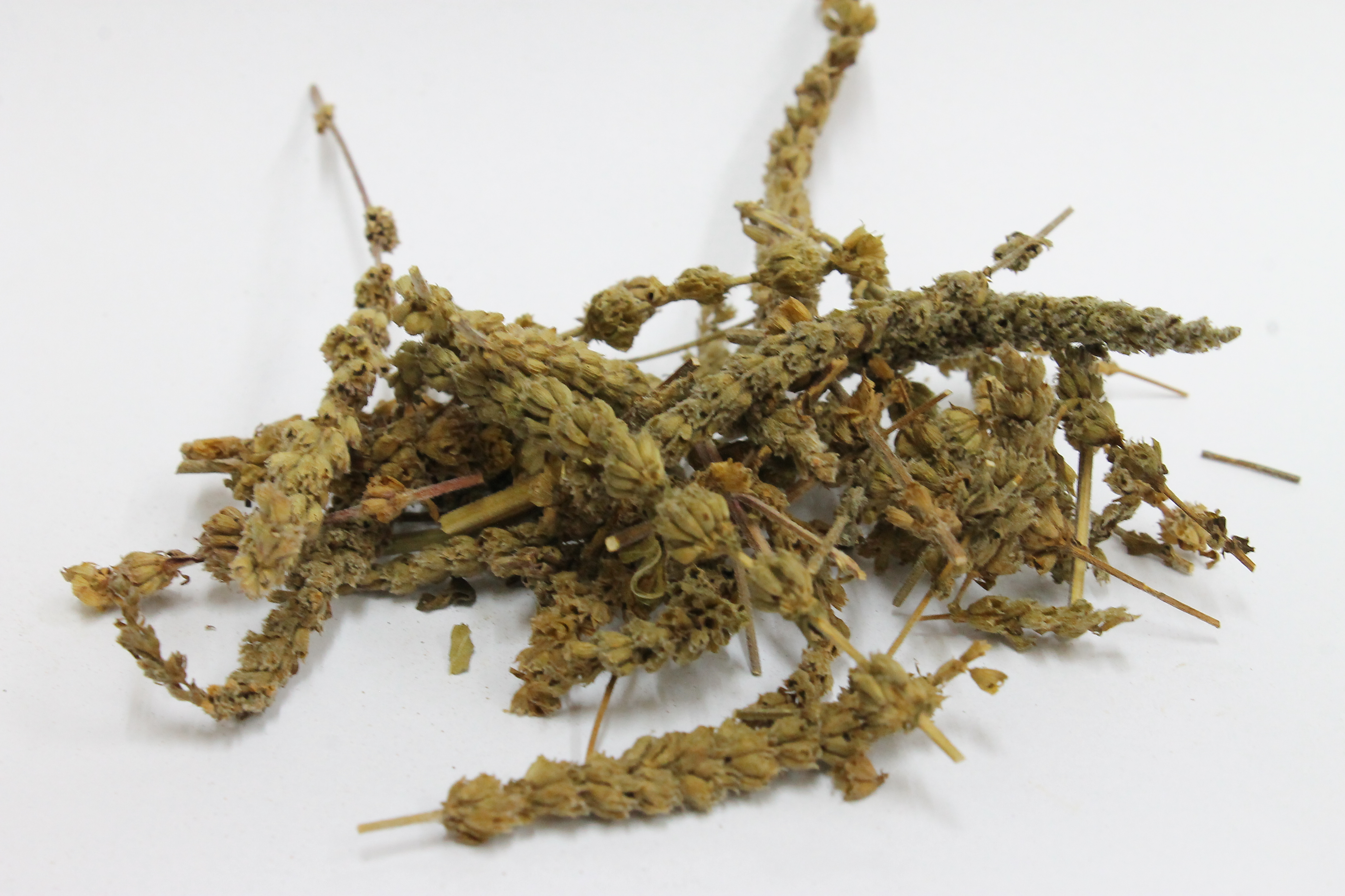 จิงเจี้ย (Jingjie) 荆芥
