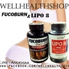 Fucoburn+Lipo8 ชุดถล่มไขมัน