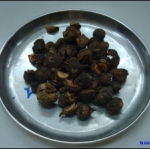 มะขามป้อม (ลูก)