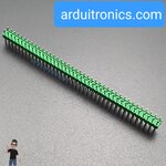 ก้างปลา 2x40P 2.54mm Pin Header Dip Straight Double Row 2X40 Pin สีเขียว