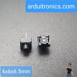 Tact Switch 6X6x6.5mm ไมโครสวิตช์ กดติดปล่อยดับ 2 ขา (หัวกลม)