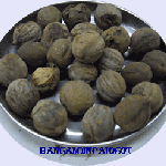 สมอภิเภก