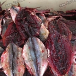 ปลาทูขาว