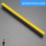 ก้างปลา 2x40P 2.54mm Pin Header Dip Straight Double Row 2X40 Pin สีเหลือง