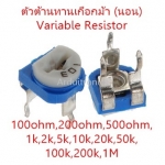 ตัวต้านทานเกือกม้า (นอน) Variable Resistor