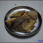 มะเดื่อปล้อง