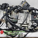 (Lead 125) ชุดสายไฟเมน ชุดใหญ่ Honda Lead 125 ปี 2022 แท้ (สินค้า Test Run)