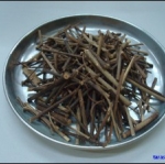 สะเดา(ก้าน)