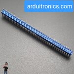 ก้างปลา 2x40P 2.54mm Pin Header Dip Straight Double Row 2X40 Pin สีน้ำเงิน