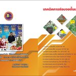 ตำราเทคนิค การซ่อมจอภาพขั้นสูง 9