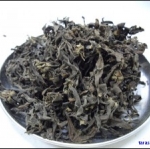 กระดังงา (ดอก)