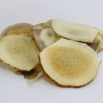 เขากวางอ่อน