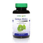 จิงโกะ ไบโลบา (แปะก๋วย)