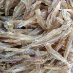 ปลาไส้ตัน