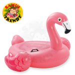 Flamingo Intex