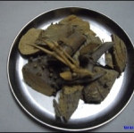 ตาไผ่ป่า