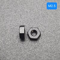 Hex Nylon Nut M2.5 สีดำ จำนวน 1 ชิ้น