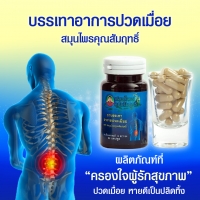 ยาบรรเทาปวดเมื่อย สมุนไพรคุณสัมฤทธิ์ 60 แคปซูล