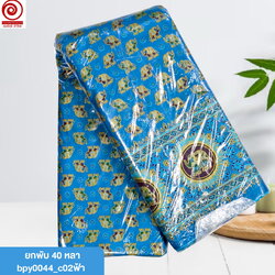 c02ฟ้า(ยกพับ)