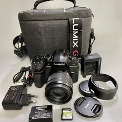 Panasonic Lumix G95 Mirrorless Digital Camera เลนส์ 12-60mm F3.5-5.6 ASPH(ประกันศูนย์)