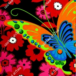 ดำดอกแดง