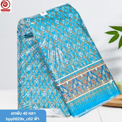 c02ฟ้า(ยกพับ)