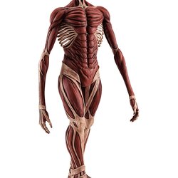 "Pre-Order" POP UP PARADE Armin Arlert: Colossus Titan Ver. L Size