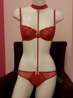 กางเกงชั้นในสตรี Kyra