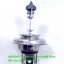 หลอดไฟหน้า ขั้ว H4 12V/35-35W แท้ (Philips)
