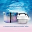 Hybeauty Abalone Beauty Cream Deluxe (ABCD) ไฮบิวตี้ อบาโลนครีม ดีลักซ์