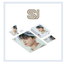 Super Junior - Puzzle Package Limited Edition แบบ YeSung