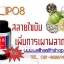 lipo8 50cap ขายดี ขายส่งเริ่ม 300 บาท ถูกมาก*** ส่งฟรี