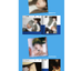 TWS (투어스) -3rd Mini Album 'TRY WITH US แบบ Compact Ver. - แบบได้ของแถมเพิ่มจาก weverse shop. - ปกสุ่ม - ส่งเครืองบิน