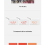 ENHYPEN - MANIFESTO : DAY 1 แบบ ครบ set 6 อัลบั้ม ครบทั้ง 2 เวอร์ชั่น - ส่ง เรือ