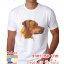 ขายส่ง ปลีก เสื้อยืดลายอาร์ตๆ
