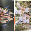 TWICE - Mini Album Vol.9 [MORE & MORE] โปสเตอร์ แบบ ที่ 2 พร้อมส่ง