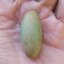 หินจินดามณี ไข่มุกราตรี แสงสว่างในที่มืด ขนาดยาว 3.8 cm 28g