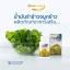 น้ำมันรำข้าว จมูกข้าว Gomphrena กอมฟลีน่า
