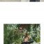 Pre-order ชุดว่ายน้ำ แขนยาวกันแดด ชิ้นเดียว ซิปหน้า ลายจุดขาวดำ
