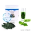 คลอโรฟิลล์ ยูนิซิตี้ Chlorophyll unicity