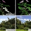 58mm CPL circular polarizer filter