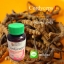 Cordyceps L คอร์ดิเซพส์ แอล ตังถั่งเฉ้าชนิดแคปซูล สูตรสำหรับผู้หญิง