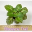 Biscayne Trail - Trailer