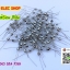 fuse slow blow 3A 250V แพ็ค 10 ตัว