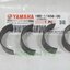 (R3) ชุดลูกปืนก้านสูบ (ชาร์ปก้าน) Yamaha R3 แท้